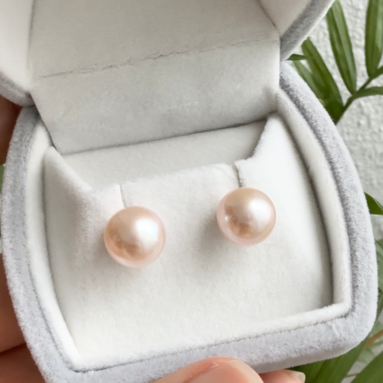 Pink Edison Pearls Studs // 10mm // 925 Sterling Silver