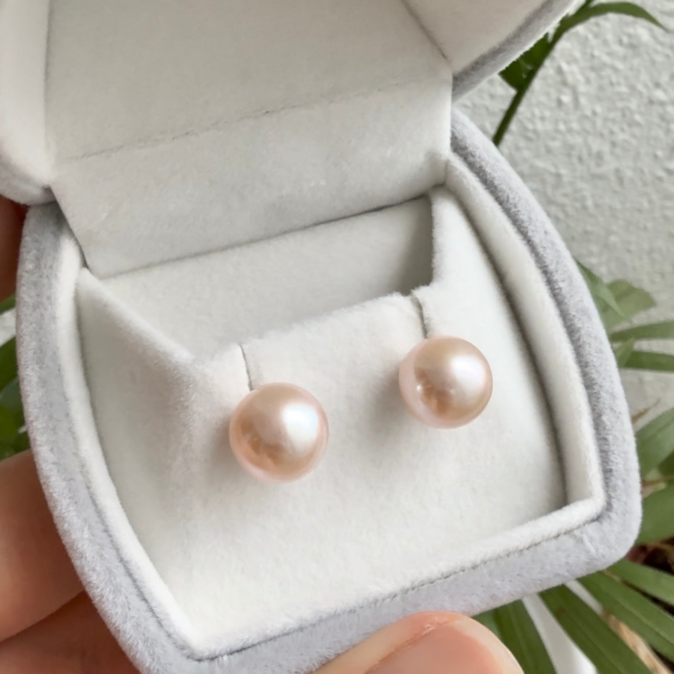 Pink Edison Pearls Studs // 10mm // 925 Sterling Silver